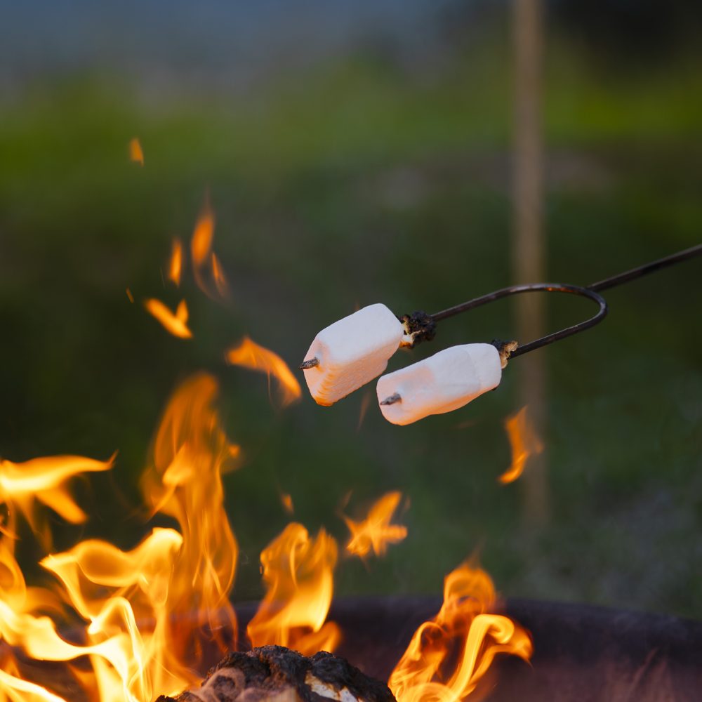 Two marshmallows on a skewer are being roasted over a campfire with flames and glowing embers.